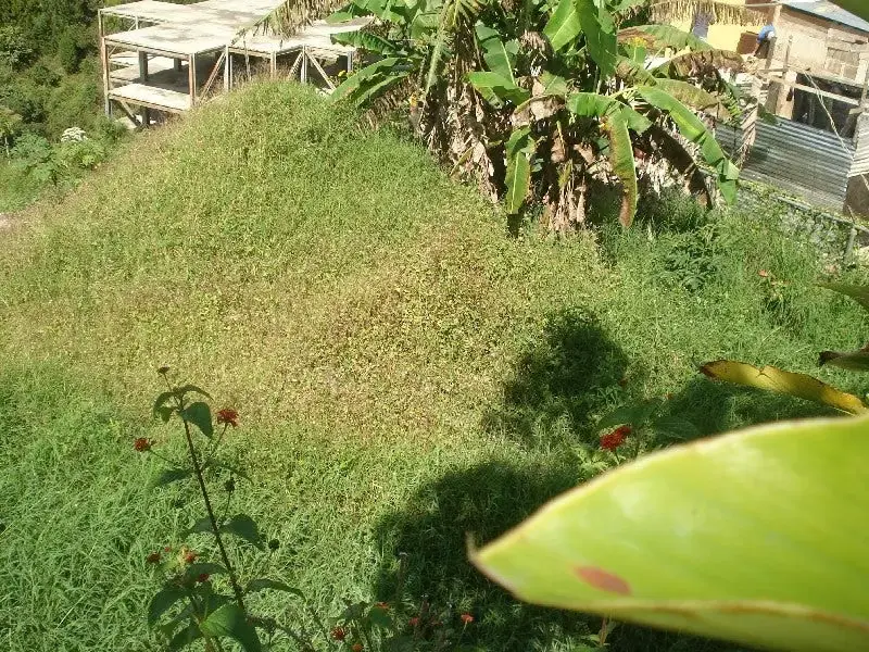 Terreno (Residencial) en Venta en Altos de Carimao, Distrito Metropolitano - 26
