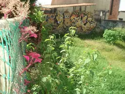 Vista 27