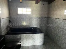 Vista 29
