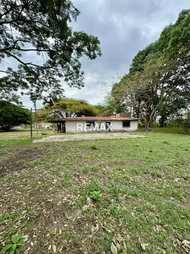 OPORTUNIDAD DE INVERSION FINCA DE 7 HECTÁREAS CON 4 pozos de agua y casa - 12