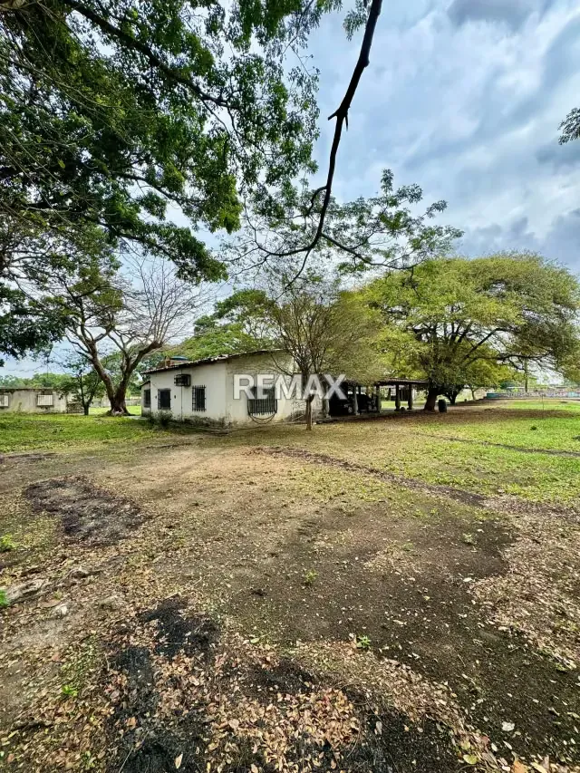 OPORTUNIDAD DE INVERSION FINCA DE 7 HECTÁREAS CON 4 pozos de agua y casa - 13