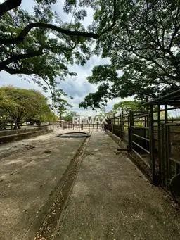 Vista 14