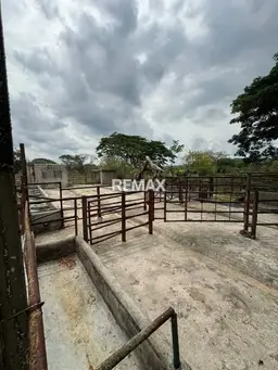 Vista 17