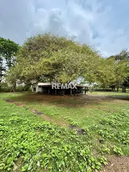 Vista 18