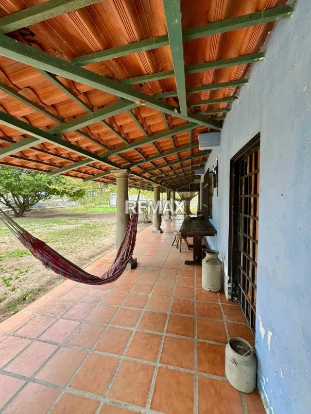 OPORTUNIDAD DE INVERSION FINCA DE 7 HECTÁREAS CON 4 pozos de agua y casa - 8