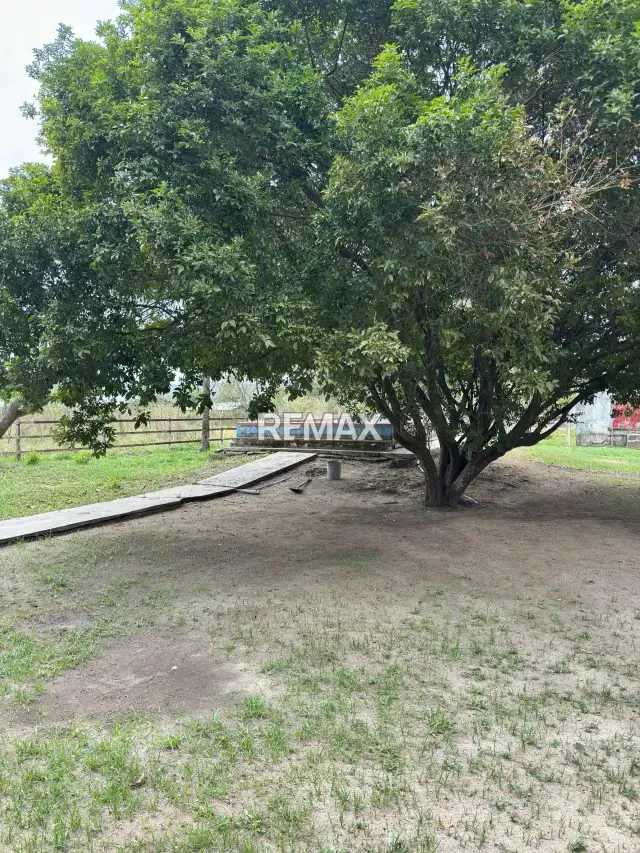 OPORTUNIDAD DE INVERSION FINCA DE 7 HECTÁREAS CON 4 pozos de agua y casa - 10
