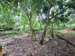 View 23