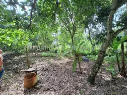 View 24