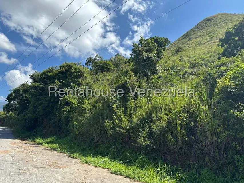 Terreno (Comercial) en Venta en Mariche, Distrito Metropolitano - 7