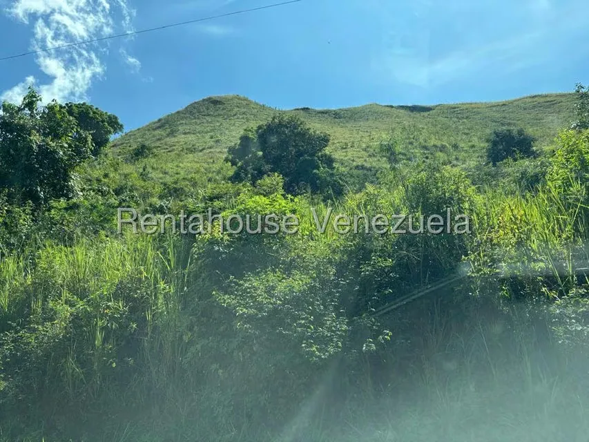 Terreno (Comercial) en Venta en Mariche, Distrito Metropolitano - 10