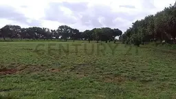 Vista 1