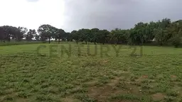 Vista 5