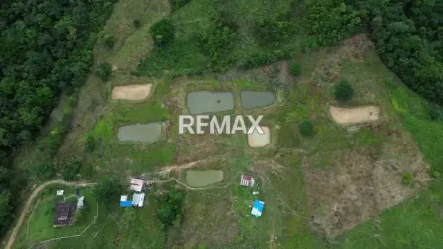 OPORTUNIDAD ÚNICA DE INVERSIÓN AGROPECUARIA EN EL TÁCHIRA! Santo Domingo (Sector El Blanquizal La Raya)