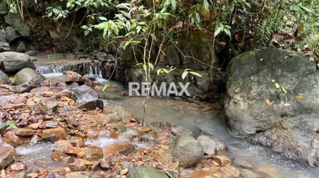 OPORTUNIDAD ÚNICA DE INVERSIÓN AGROPECUARIA EN EL TÁCHIRA! Santo Domingo (Sector El Blanquizal La Raya) - 11