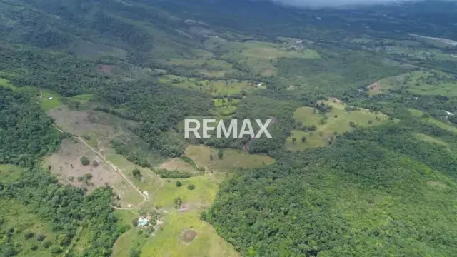 OPORTUNIDAD ÚNICA DE INVERSIÓN AGROPECUARIA EN EL TÁCHIRA! Santo Domingo (Sector El Blanquizal La Raya) - 13