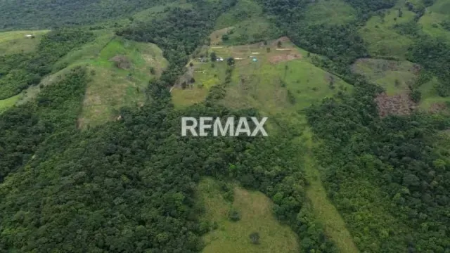 OPORTUNIDAD ÚNICA DE INVERSIÓN AGROPECUARIA EN EL TÁCHIRA! Santo Domingo (Sector El Blanquizal La Raya) - 14
