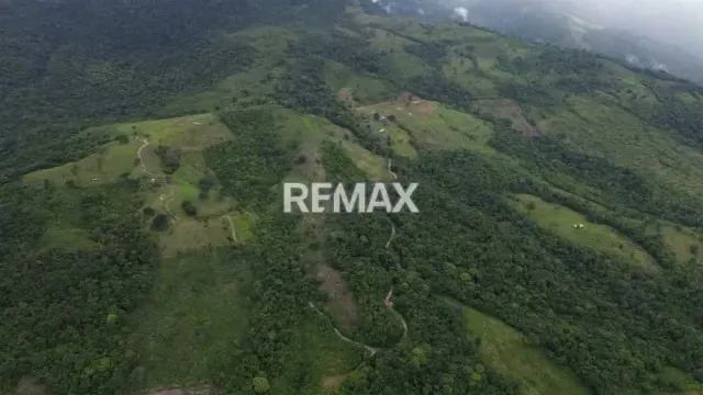 OPORTUNIDAD ÚNICA DE INVERSIÓN AGROPECUARIA EN EL TÁCHIRA! Santo Domingo (Sector El Blanquizal La Raya) - 15
