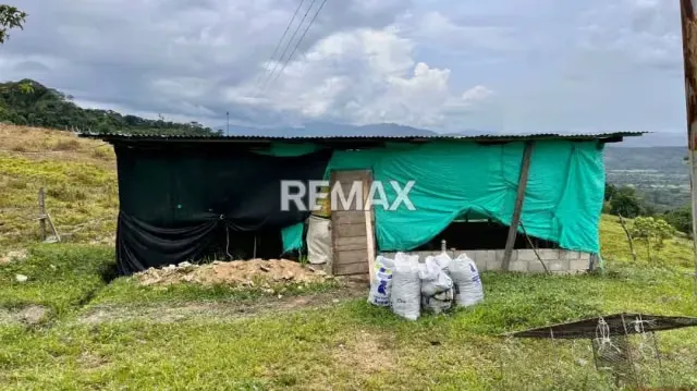 OPORTUNIDAD ÚNICA DE INVERSIÓN AGROPECUARIA EN EL TÁCHIRA! Santo Domingo (Sector El Blanquizal La Raya) - 17