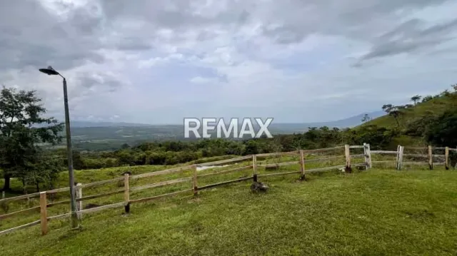 OPORTUNIDAD ÚNICA DE INVERSIÓN AGROPECUARIA EN EL TÁCHIRA! Santo Domingo (Sector El Blanquizal La Raya) - 4