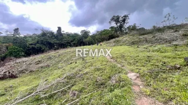 OPORTUNIDAD ÚNICA DE INVERSIÓN AGROPECUARIA EN EL TÁCHIRA! Santo Domingo (Sector El Blanquizal La Raya) - 5