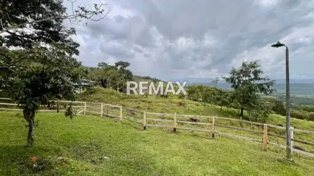 OPORTUNIDAD ÚNICA DE INVERSIÓN AGROPECUARIA EN EL TÁCHIRA! Santo Domingo (Sector El Blanquizal La Raya) - 6
