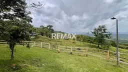 Vista 6