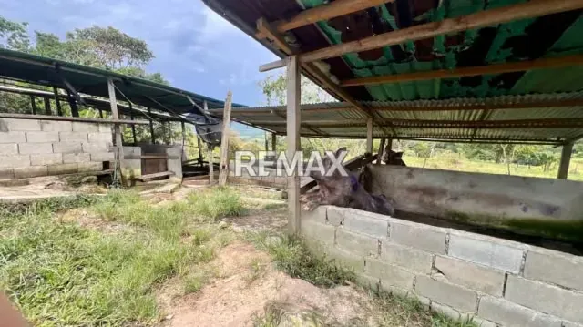 OPORTUNIDAD ÚNICA DE INVERSIÓN AGROPECUARIA EN EL TÁCHIRA! Santo Domingo (Sector El Blanquizal La Raya) - 9