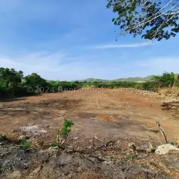 Vista 12