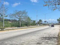 Vista 14
