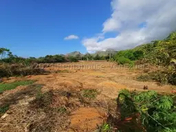 Vista 3