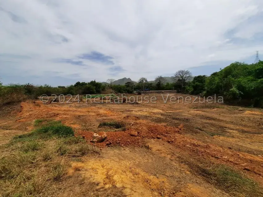 Terreno (Industrial) en Venta en Guatamare, Nueva Esparta - 4