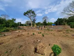 Vista 5