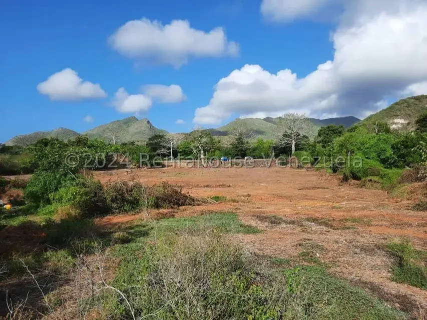 Terreno (Industrial) en Venta en Guatamare, Nueva Esparta - 6