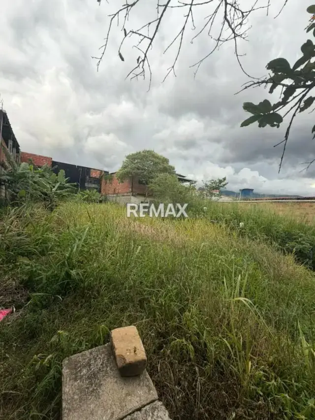 Terreno. Venta. Tariba