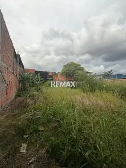 View 5