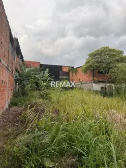 View 6