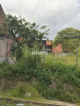 View 7