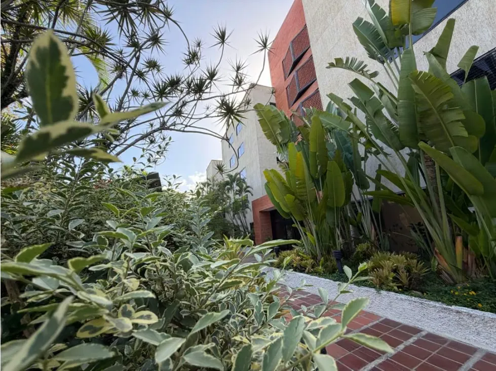 Apartamento en alquiler en Colinas de Bello Monte - 19