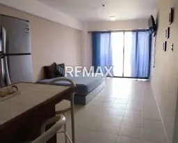 Vista 4