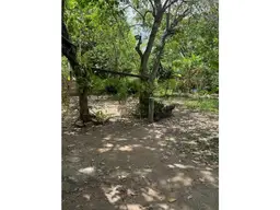 View 11