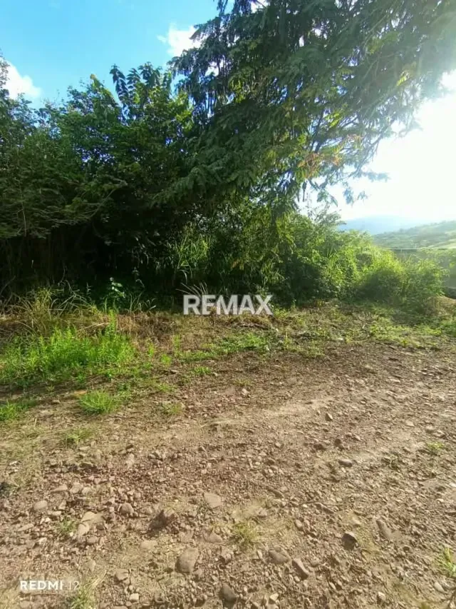VENTA DE TERRENO Parte alta de BARRANCAS Avenida los fundadores, calle Leonardo Ruiz Pineda