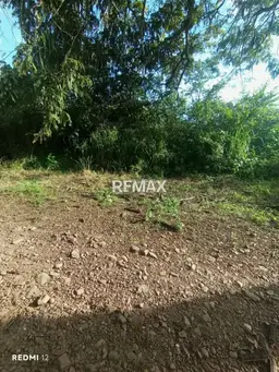 View 2
