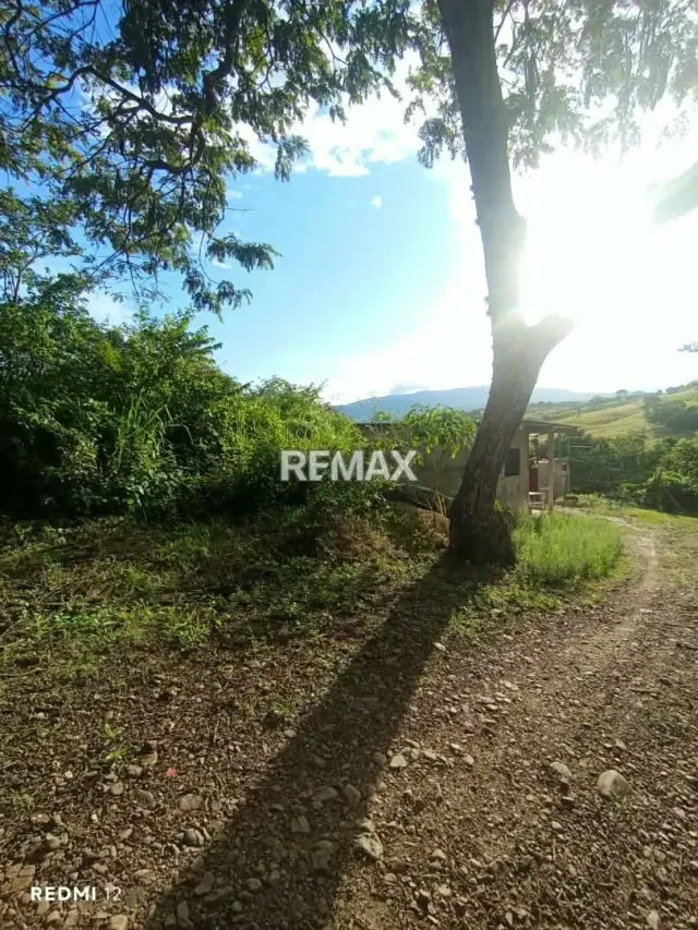 VENTA DE TERRENO Parte alta de BARRANCAS Avenida los fundadores, calle Leonardo Ruiz Pineda - 3