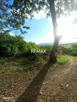 View 3