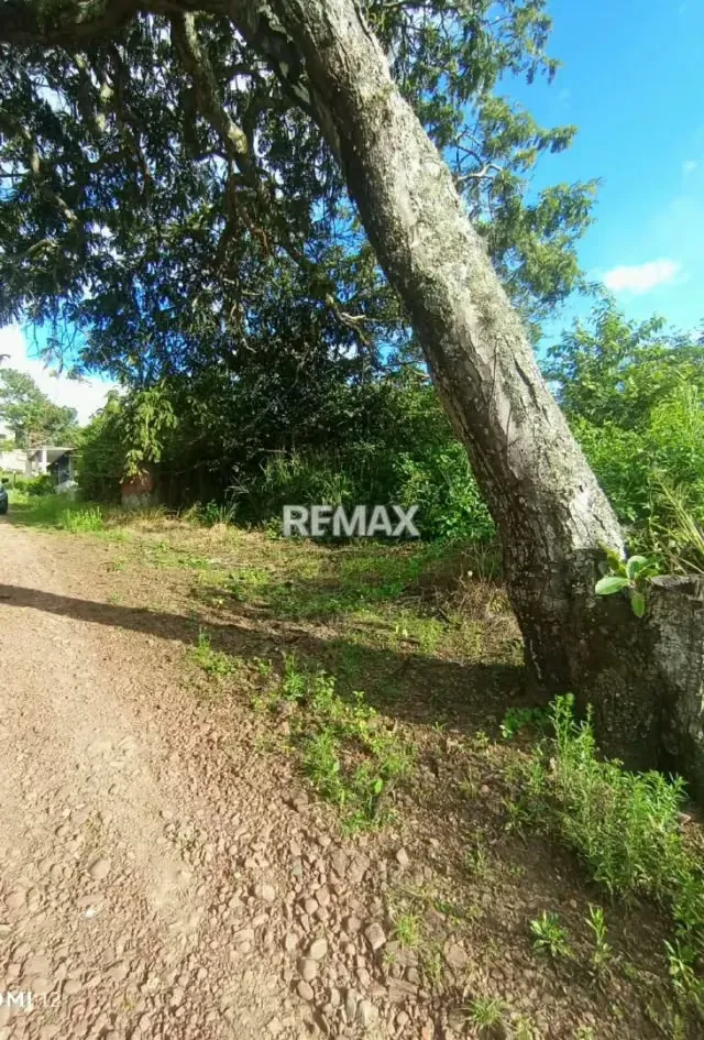 VENTA DE TERRENO Parte alta de BARRANCAS Avenida los fundadores, calle Leonardo Ruiz Pineda - 4