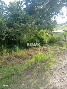 View 5