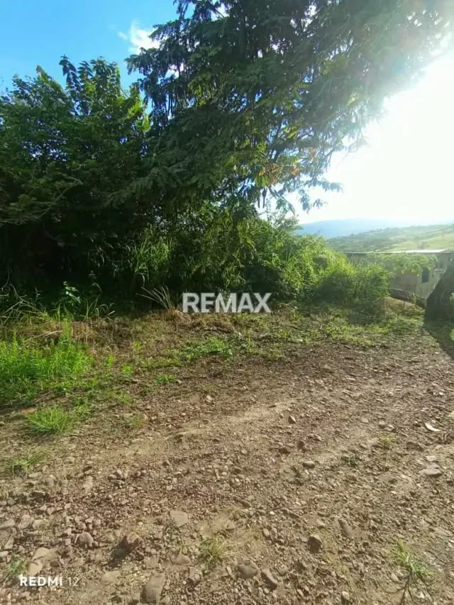 VENTA DE TERRENO Parte alta de BARRANCAS Avenida los fundadores, calle Leonardo Ruiz Pineda - 6