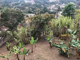 View 44