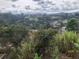 View 45