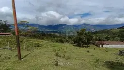 Vista 3